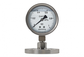 All-Stainless-Steel Diaphragm Seismic Pressure Gauge